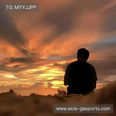 袁友黎